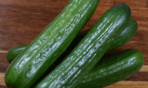 修正左旋肉碱茶多酚片真的可以减肥、左旋肉碱茶多酚怎么吃效果好 -修正左旋肉碱茶多酚片怎么吃法网