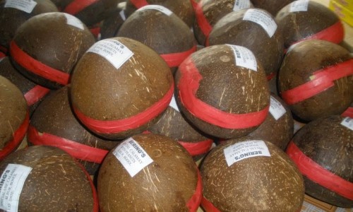 修正左旋肉碱茶多酚片真的可以减肥、左旋肉碱茶多酚怎么吃效果好 -修正左旋肉碱茶多酚片怎么吃法网